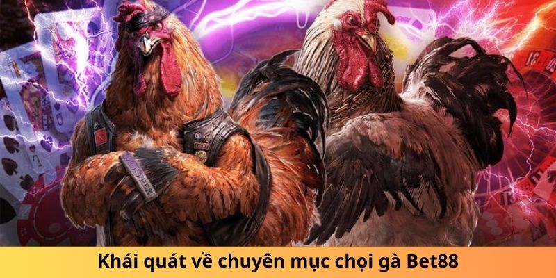 Khái quát về chuyên mục chọi gà Bet88