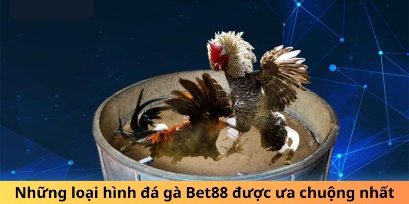 Những loại hình đá gà Bet88 được ưa chuộng nhất