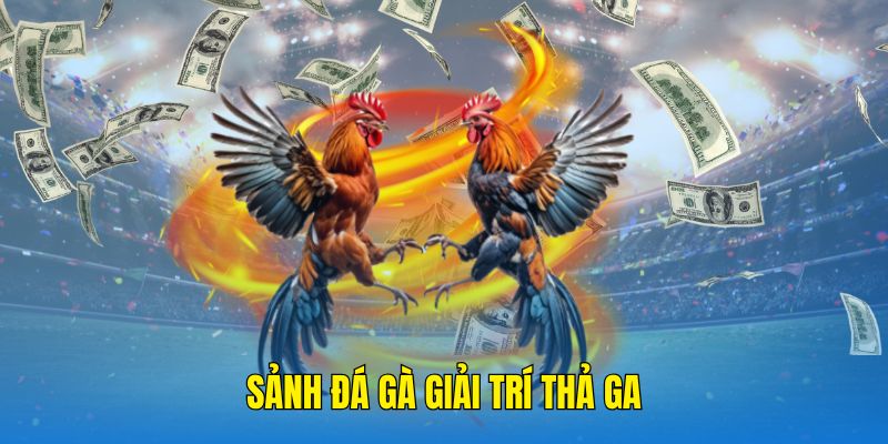 Khi đăng nhập Bet88 anh em có cơ hội tham gia các trận đá gà 